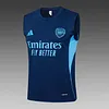 2025/2026 Arsenal Pre-Match Training Royal Blue Vest+Shorts Football1:1 Thai Quality