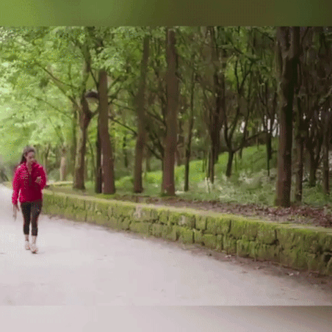 GPS Dog Tracker