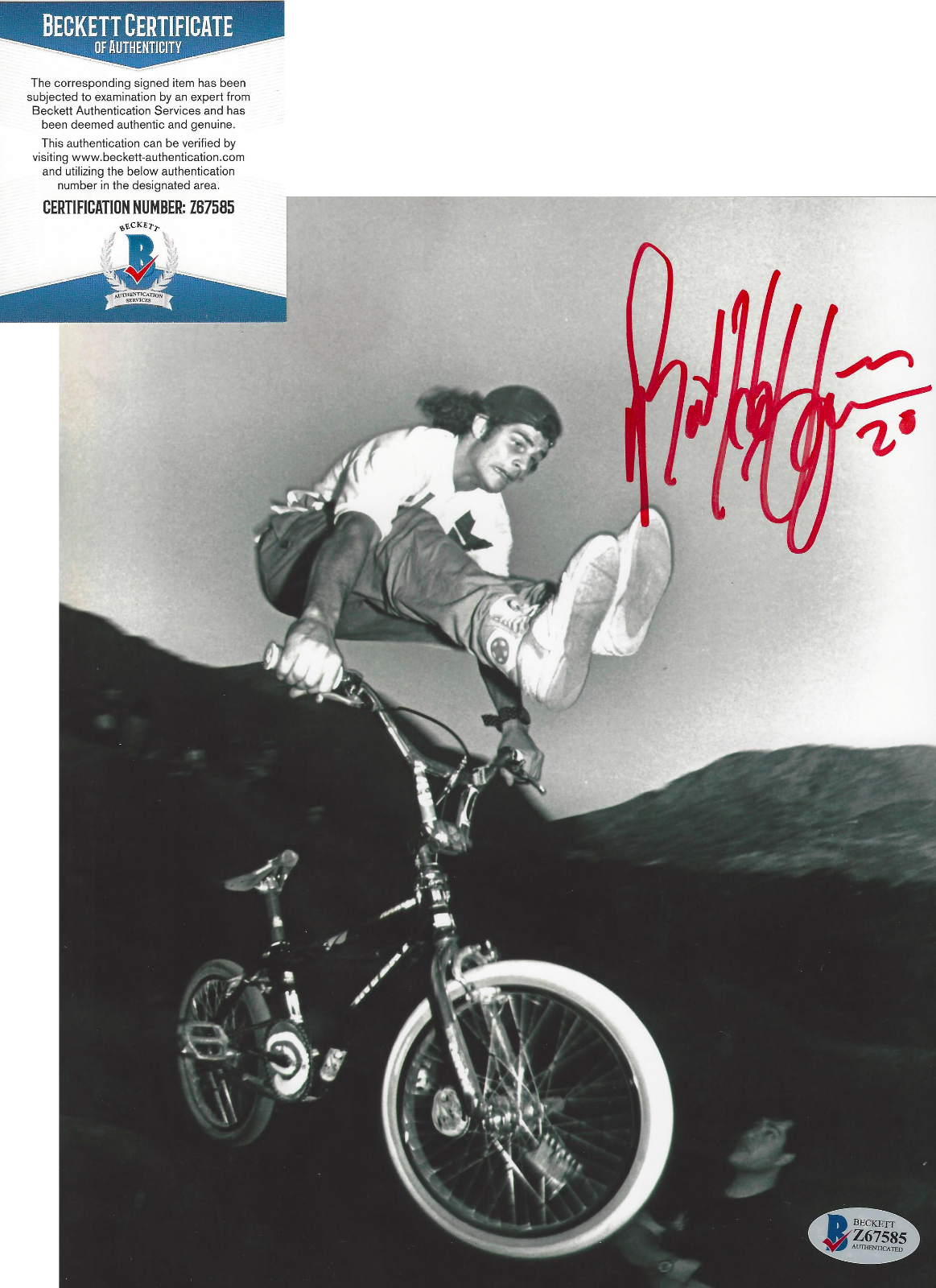 MAT HOFFMAN BMX PRO RIDER SIGNED 8x10 Photo Poster painting BIKING X GAMES VERT BECKETT COA BAS