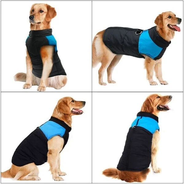 🐕Winter Warm Waterproof Dog Vest with Zipper (Size S-7XL)✨ 
