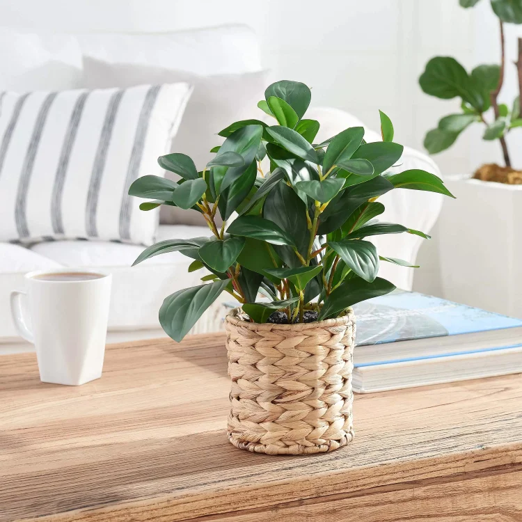 Simulated rattan basket plant aesthetics, the perfect integration of nature and home