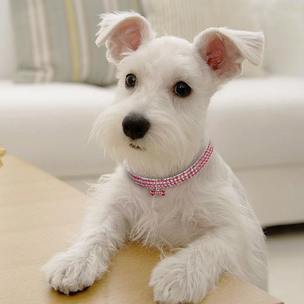Stylish Bling Dog Collar