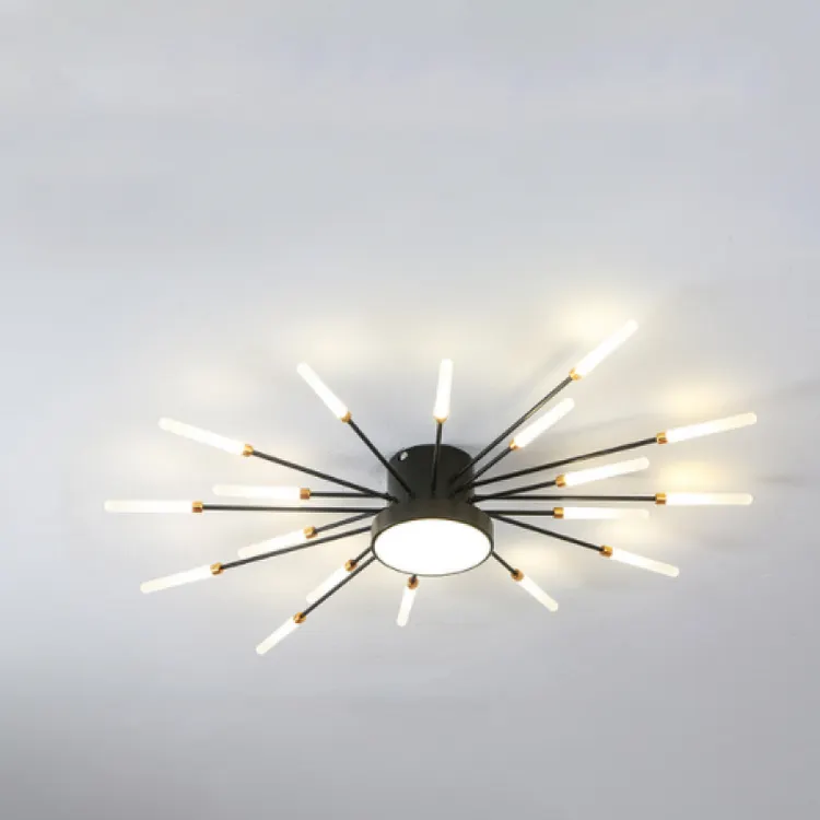 Lowry Modern Home Decoration Fireworks LED Ceiling Light