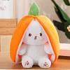 Strawberry Bunny Transformed into Little Rabbit Fruit Doll Plush Toy (🎁Christmas Hot Sale🎁-)