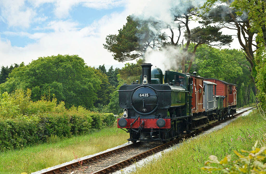 Steam Train Pannier Tank 6435 12x8 inch print picture