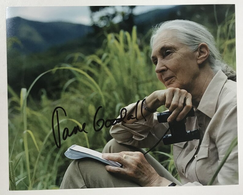 Jane Goodall Signed Autographed Glossy 8x10 Photo Poster painting - COA Matching Holograms