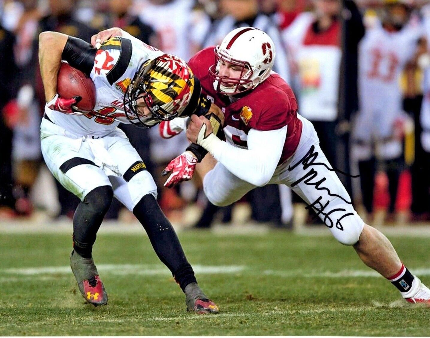 Harrison Phillips Stanford Cardinal signed autographed 8x10 football Photo Poster painting