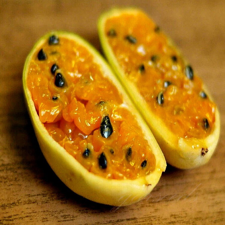 🔥HOT SALE🔥Rare Banana Passion Fruit Seeds🌱