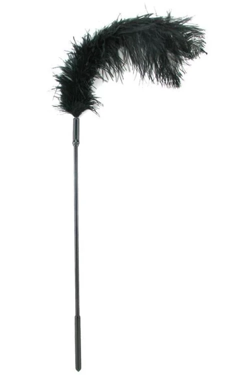 Pornhint Ostrich Feather Body Tickler