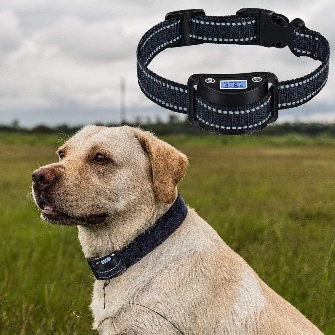 Dog Bark Shock Collar Rechargeable