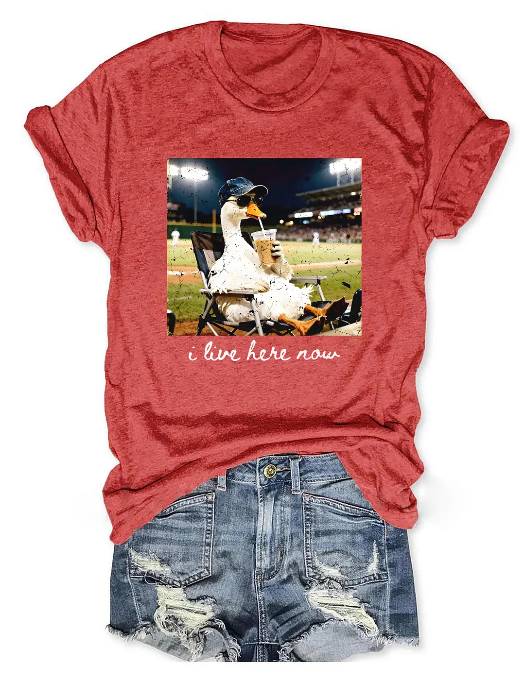 I live Here Now Goose Ballfield T-shirt