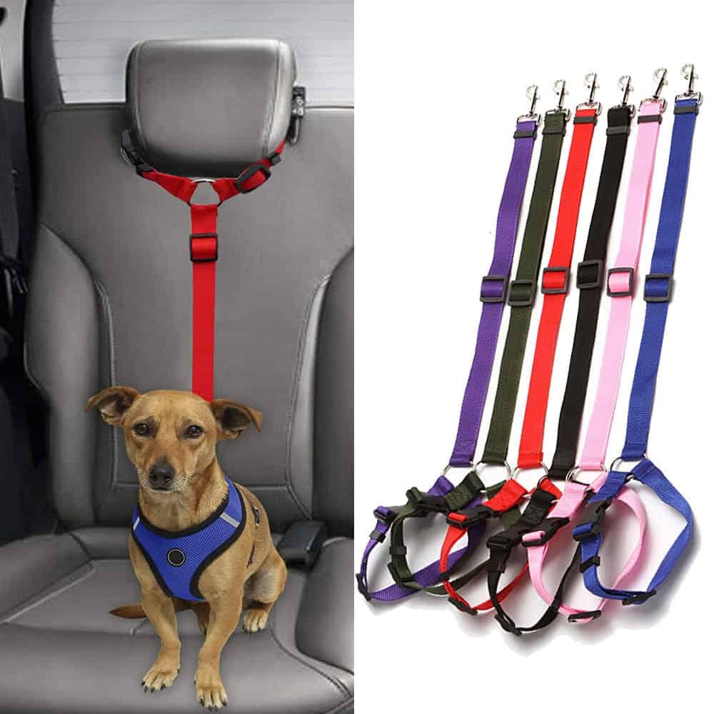 Dog 2024 car leash