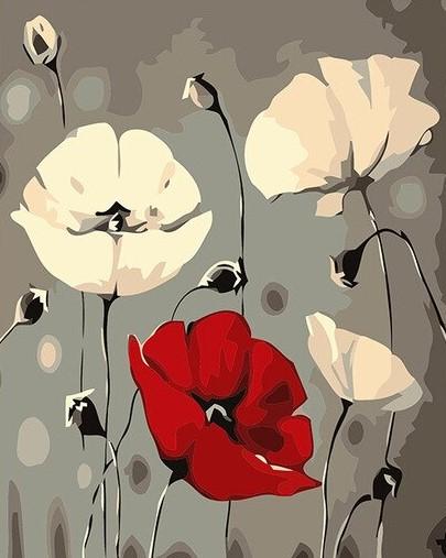 

Red White Poppy Flowers – Paint By Numbers - 40*50CM, 501 Original