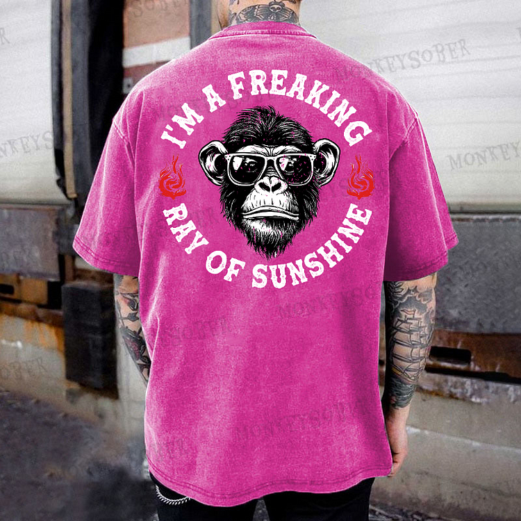 I'm A Freaking Ray Of Sunshine Funny Print Washed T-Shirt