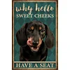 Why Hello Sweet Cheeks Have A Seat Poster Quotes-11CT Stamped Cross Stitch 40*60cm(Big Size)