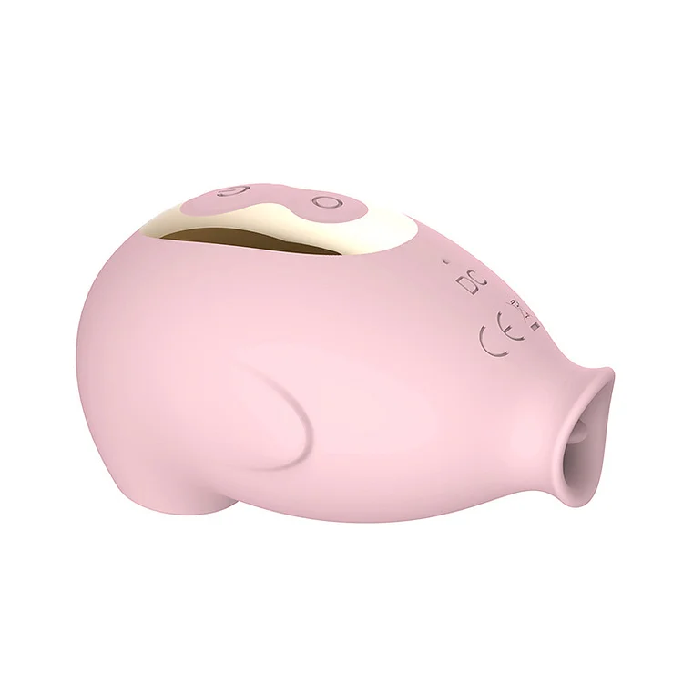 Sensual Intimacy Enhancer – Pulse Sucking & Licking Vibrator, Flower Tongue Teasing, Ultimate Pleasure for Women