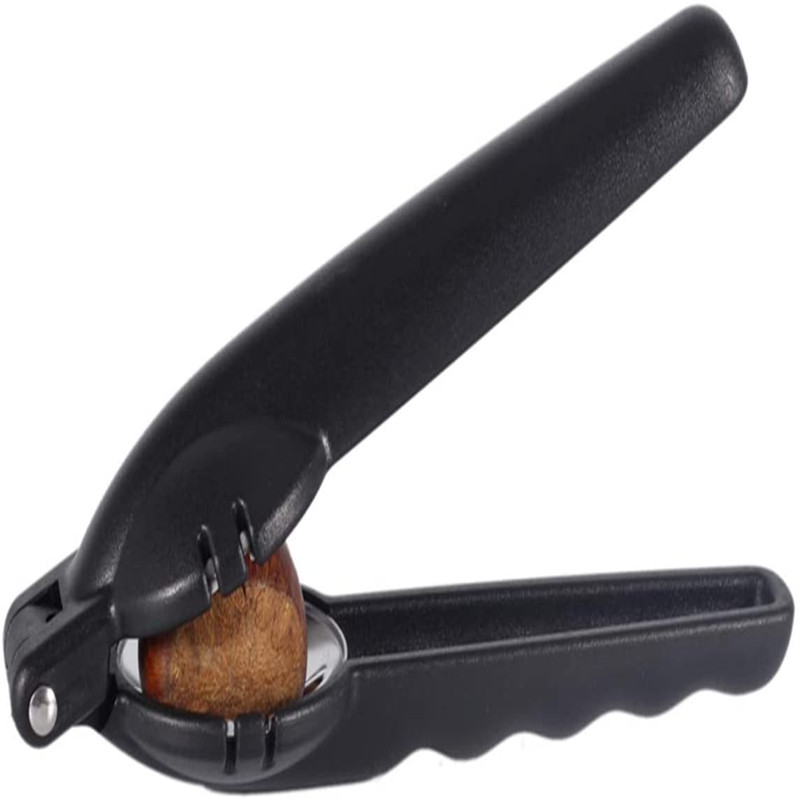 

Stainless Steel Chestnut Opener, 501 Original