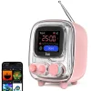 Divoom Tivoo-2 Portable Bluetooth Speaker with FM Radio, Pixel Art Retro Mini Small Cute Wireless Speaker, Vintage Decoration for Party Desk Home Bedroom Kitchen