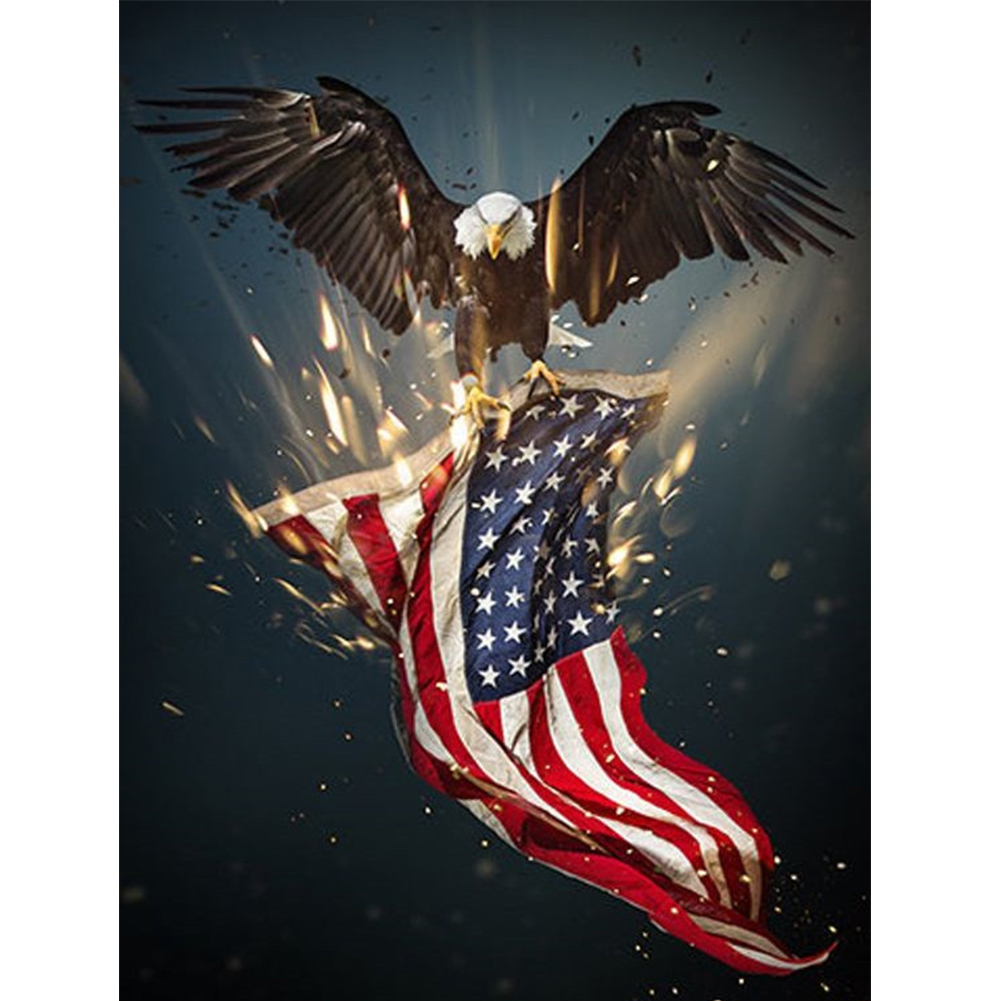 

30*40CM - Square Drill Diamond Painting - American Flag Eagle, 501 Original
