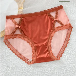 New silk segmented mesh sexy briefs