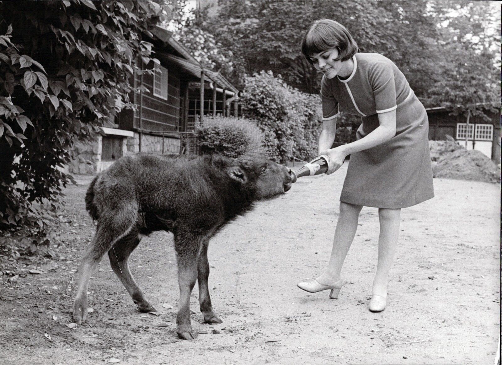 Mireille Mathieu - Vintage Press Photo Poster painting Photo Poster painting Norbert Unfried (U-1143