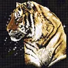 Bead Embroidery - Partial Printed 9CT Tiger(47x45 CM)