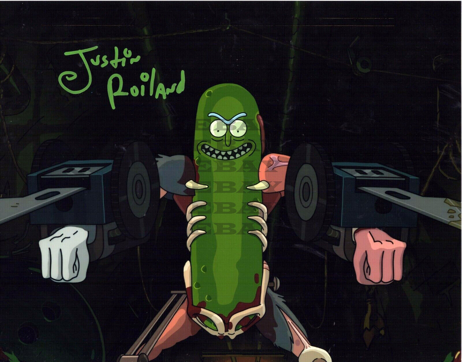 Justin Roiland Rick & Morty Autographed Signed 8x10 Photo Poster painting Reprint