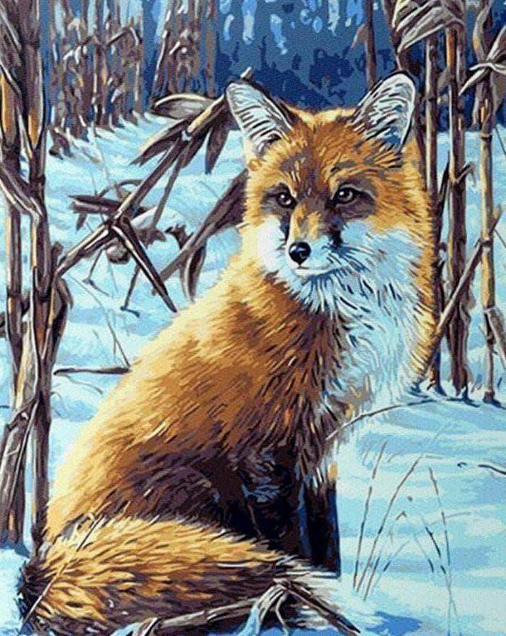 

Fox in the Snow – Paint By Numbers - 40*50CM, 501 Original