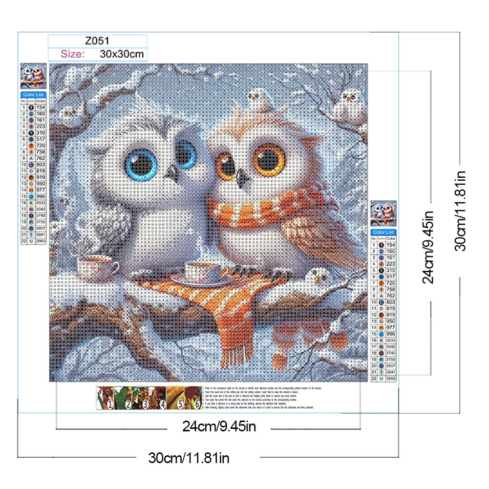 Diamond Painting - Full Round Drill - Winter Owl(Canvas|30*30cm)