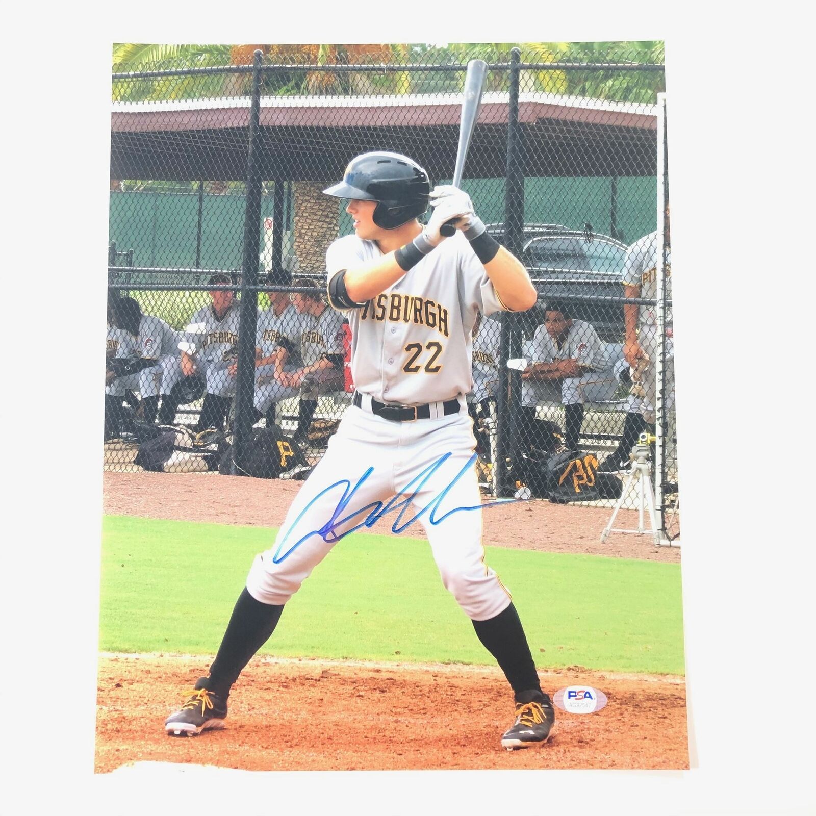 Austin Meadows signed 11x14 Photo Poster painting PSA/DNA Pittsburgh Pirates Autographed