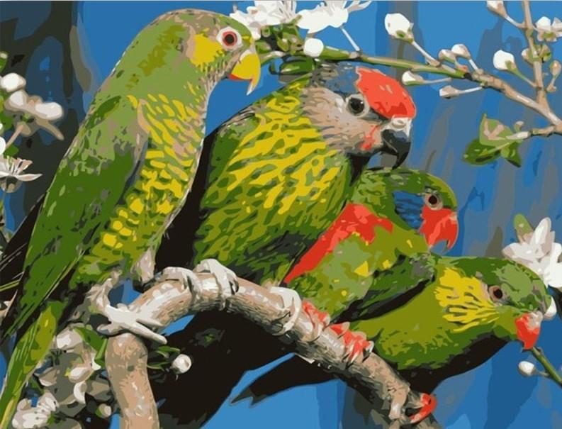 

Green Parrots – Paint By Numbers - 40*50CM, 501 Original