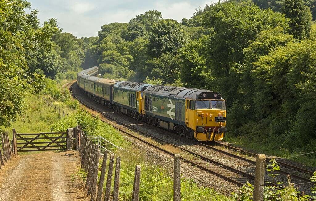 Class 50 Diesel Locomotives 50011 & 50049 12x8 inch print picture