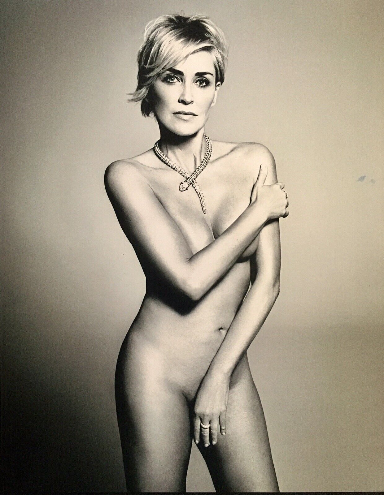 Sharon Stone Sexy Poster 11x14 Print Photo Poster painting; Celebrity Actress