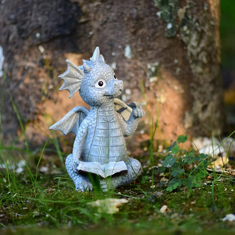 Meditation Dragon Reading Books