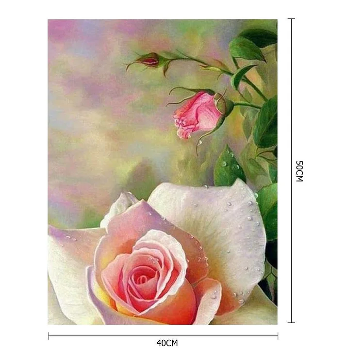 Rose Flower - Painting By Numbers - 40*50cm