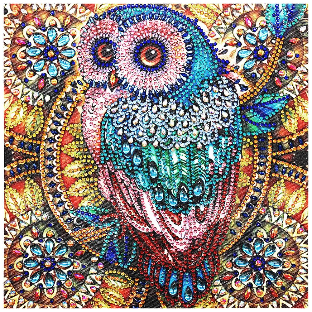 Owl Bird 30x30cm(canvas) beautiful special shaped drill diamond painting