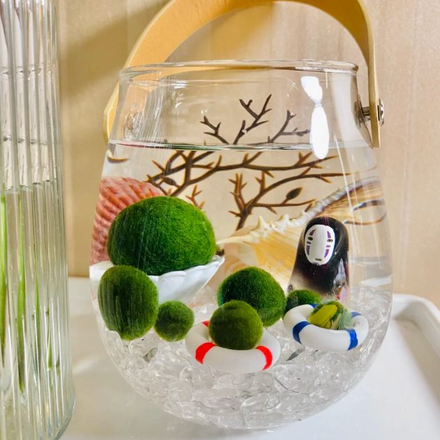 🌿Pure Natural Ecological Landscape Marimo