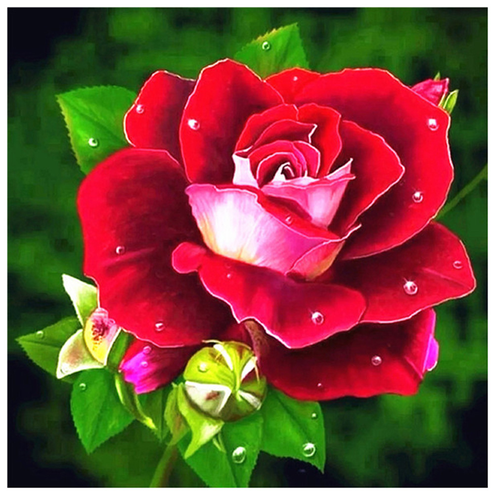

30*30CM - Round Drill Diamond Painting - Red Rose, 501 Original