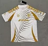 2024/2025 Tigres Third Away Football Shirt 1:1 Thai Quality