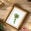 12pcs Potted Plant-1 5D DIY Square Drill Diamond Painting Kits for Adults Beginners Home Decor Diamonds Paintings Gem Art 5.91x7.09in
