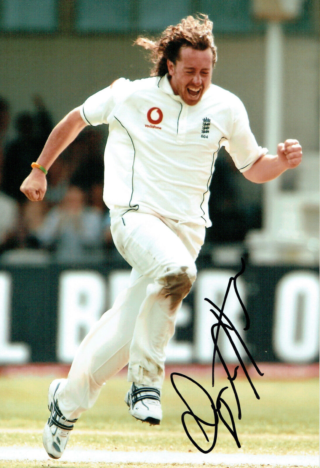 Ryan SIDEBOTTOM Signed Autograph 12x8 Photo Poster painting AFTAL COA England Bowler CRICKET