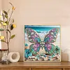 Papillon de plage-peinture diamant en forme sp&eacute;ciale-30*30cm