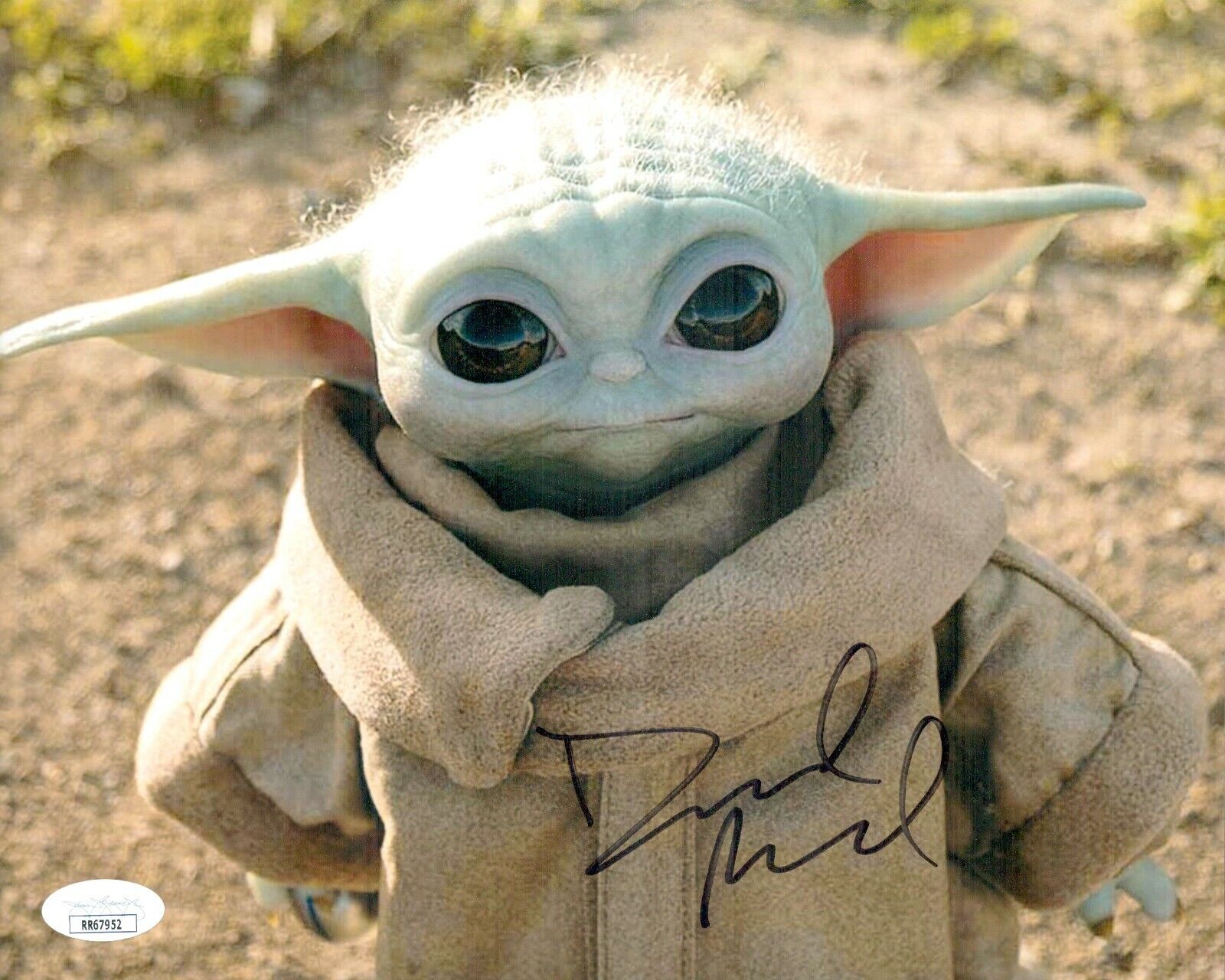 DAVID ACORD Signed 8x10 Mandalorian BABY YODA GROGU Photo Poster painting Autograph JSA COA