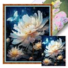 Butterfly Flowers - 11CT Stamped Cross Stitch 40*50cm