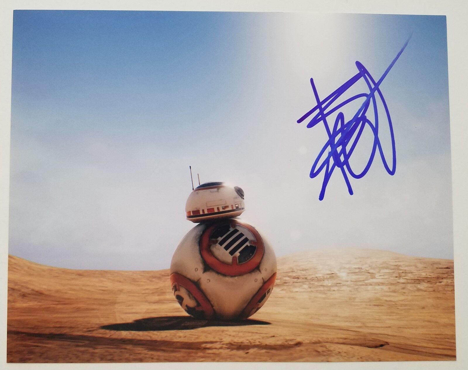 Ben Schwartz Signed BB-8 8x10 Photo Poster painting Star Wars The Force Awakens BB8 RAD