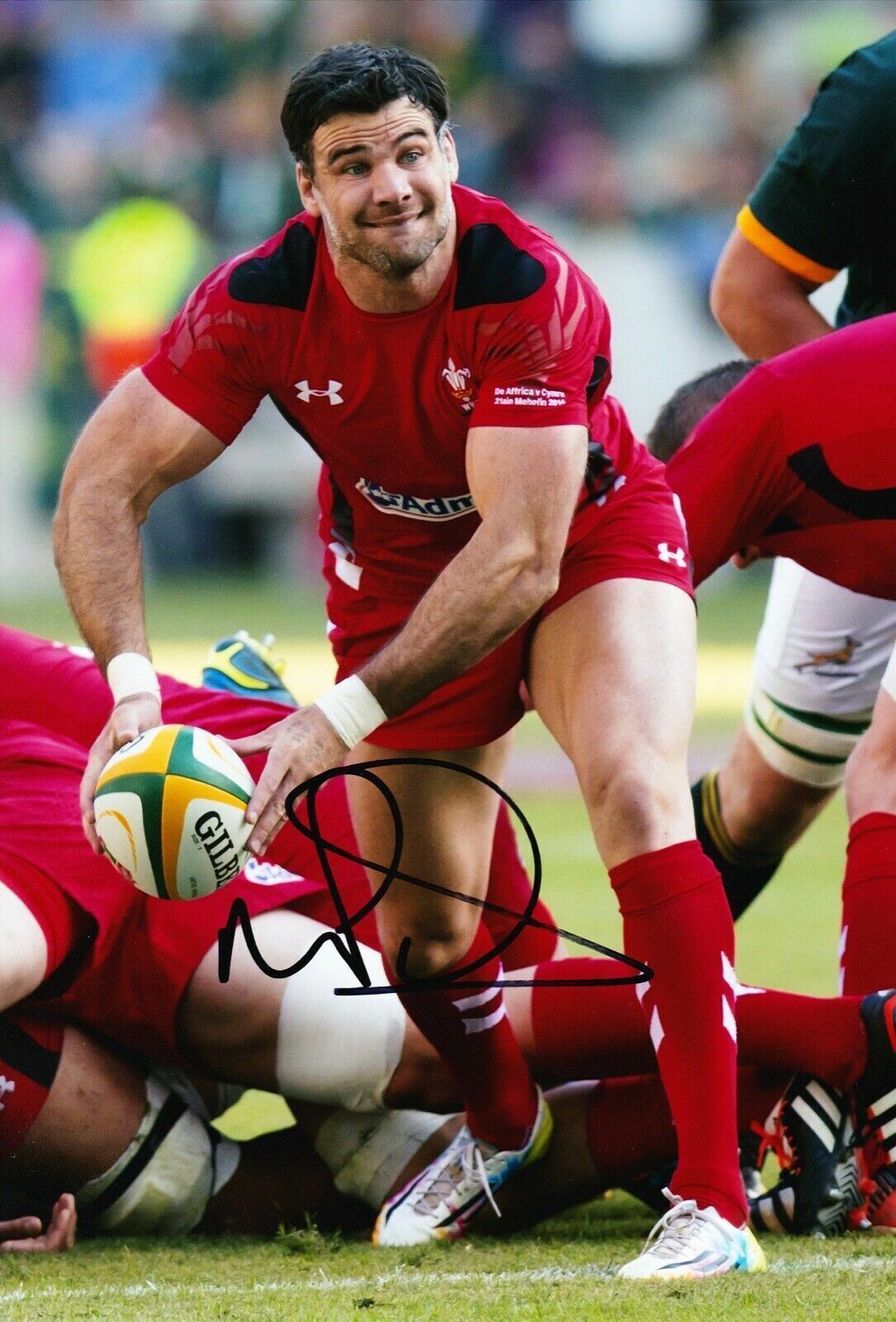 Mike Phillips Signed 12X8 Photo Poster painting Lions & WALES Rugby AFTAL COA (C)