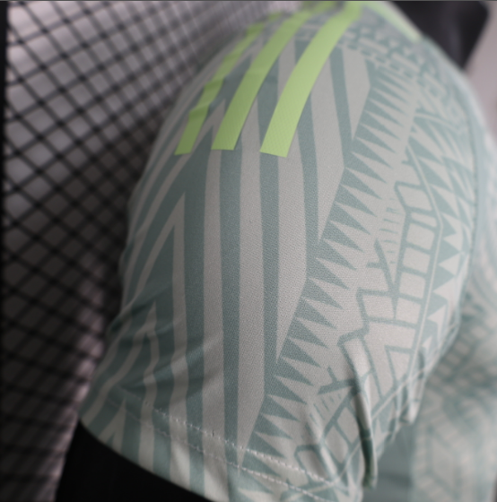 2024 Mexico Away Player Version Football T-Shirt Thai Quality