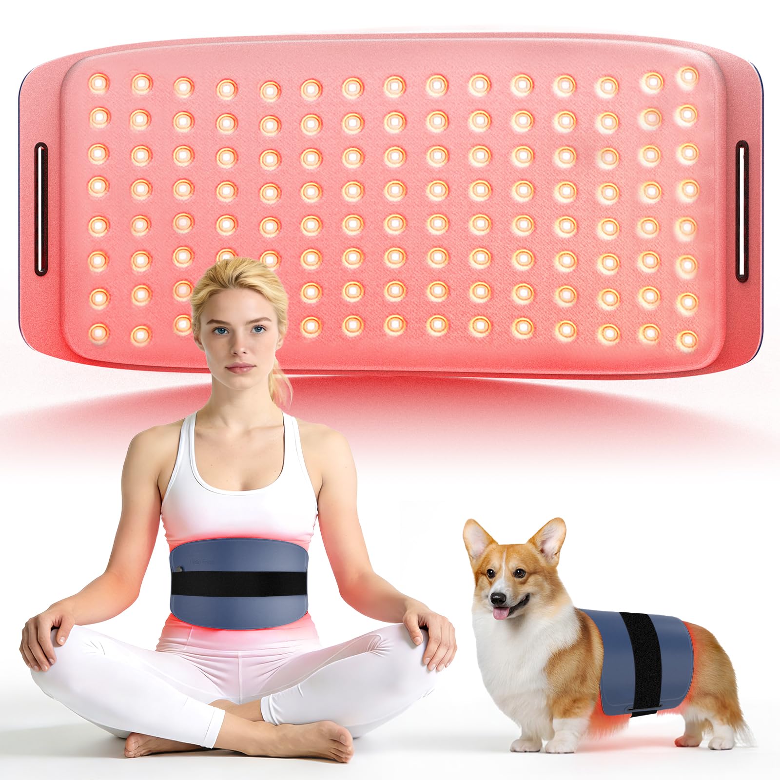 Red Light Therapy for Dogs and Humans