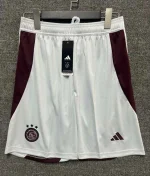 2024/2025 Ajax Third Away Shorts Football Shirt 1:1 Thai Quality