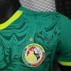 2025 Player Version Senegal Soccer Jersey Away